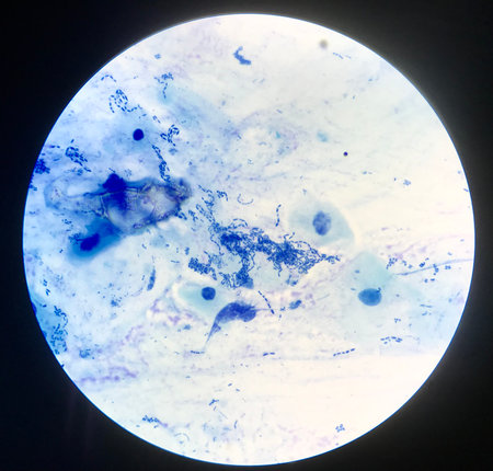 Close up blue bacteria cells with microscope.