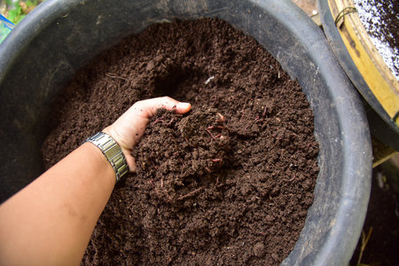 Brown bio fertilizer earthworm manure for plants.