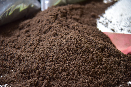 Brown bio fertilizer earthworm manure for plants.の写真素材