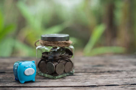 Blue piggy and coin in saving money.の写真素材