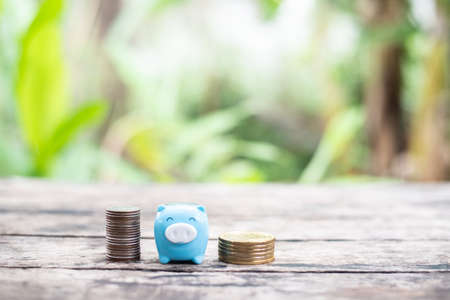 Blue piggy and coin in saving money.の写真素材