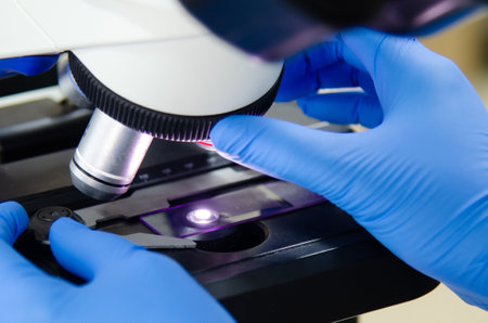 Scientist working with blue glove in modern laboratory.の写真素材