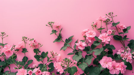 Flowers composition. Frame made of pink flowers on pink background. Flat lay, top view, copy spaceの素材