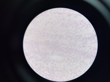 Budding yeast cell in nature smear in environment.の写真素材