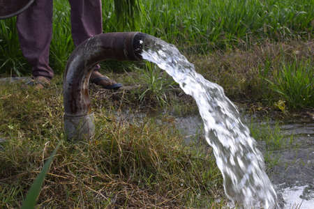 farmers feet, irrigated in wheat fields by water jet, technical irrigation