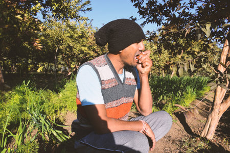 Indian farmer eating guava in the garden. Guava treeの写真素材
