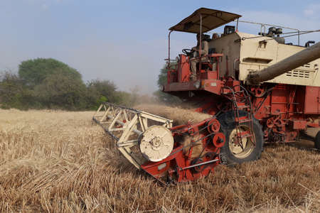 Dewas, Madhya Pradesh, India 11-03-21. Combines harvester harvesting wheat on a bright day. Wheat...