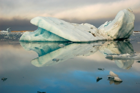 Iceberg reflectionの写真素材