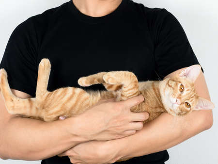 Closeup man hug cute cat orange color and cat looking at camera on white blackgroundの写真素材