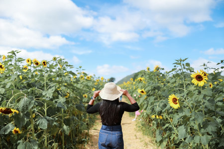 Tourism girl jeans wear hat stand among beautiful sunflower field landscapeの写真素材