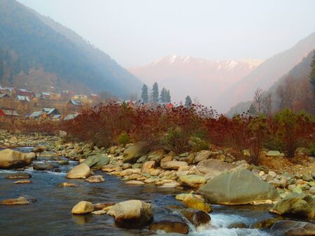 river landscape 
