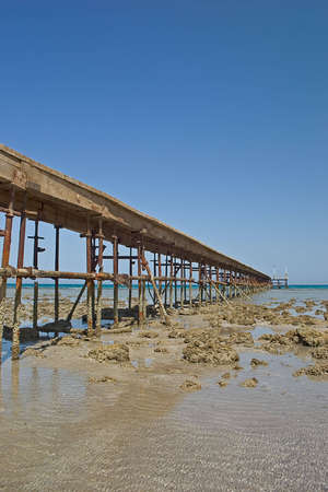 Pontoon on a beach of Red Sea の写真素材
