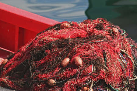 Fishing net to fish posed on the quay