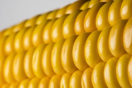 Abstract detail of corn on the cobの写真素材