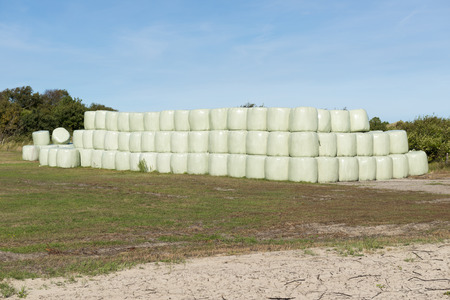 Stacked hay bales wrapped in green plastic as a winter inventoryの写真素材