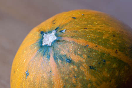 Detail photo of a gourd on a wooden tableの写真素材