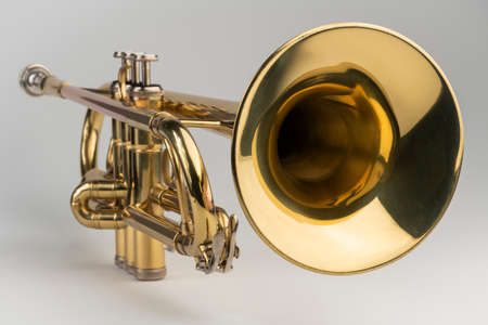 Gold colored trumpet as an isolated musical instrument against a white background in a studioの写真素材