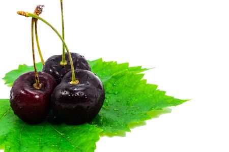 Ripe cherries on white background の写真素材