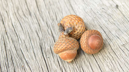 Three acorns on wood background.の写真素材