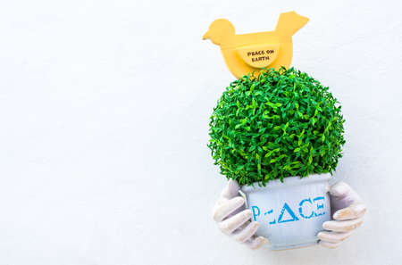 Artificial flora in flowerpot decorated on white wall の写真素材