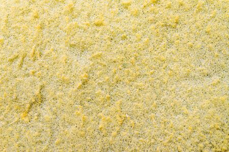 Old Sponge texture use for background 