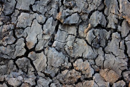 Broken soil in dry seasonの写真素材