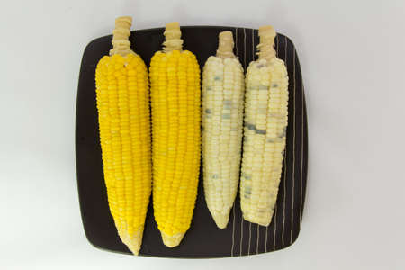 White corn and yellow corn on plate