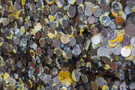 Coins on the wallの写真素材