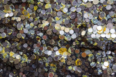 Coins on the wallの写真素材