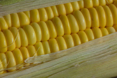 corn