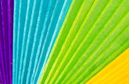 Colorful Wood Backgroundの写真素材