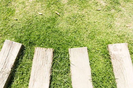 Stone footpath in lawn field.の写真素材