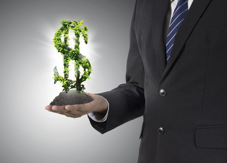 businessman hold a tree with US dollar signの写真素材