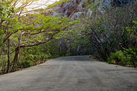 road to the  mountains with forest in summer