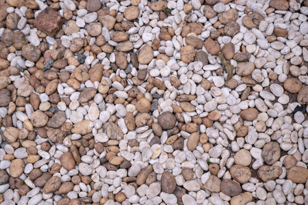 Small rock pebbles texture and backgroundの写真素材