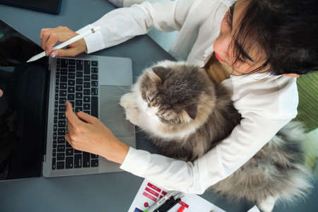 Young Asian woman working from home with her cat at home.