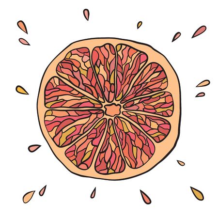 Fresh and juicy grapefruitのイラスト素材