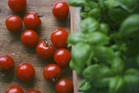 Fresh green Basil in a pot on a wooden table next to a bunch of cherry tomatoesの写真素材