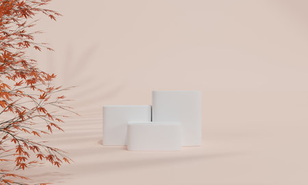 Podium with colorful pastel background and tree or leaf stand or podium pedestal on advertising display with blank backdrops. 3D rendering.の写真素材