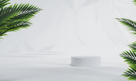 Podium with colorful pastel background and tree or leaf stand or podium pedestal on advertising display with blank backdrops. 3D rendering.の写真素材