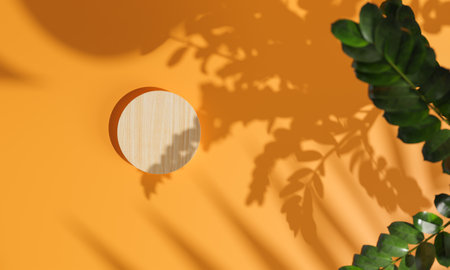 Topview with colorful background snd tree stand or podium on advertising display with blank backdrops. 3D rendering.の写真素材