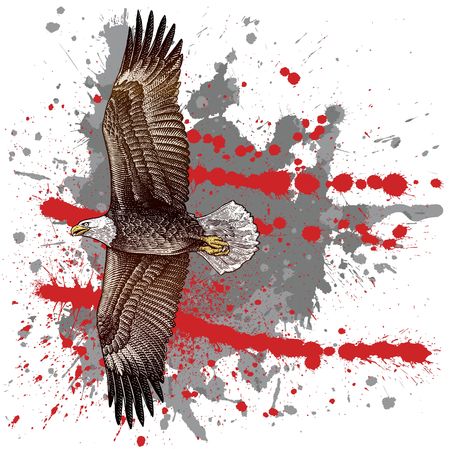 drawn by hand with a woodcut or engraving look, an eagle with splash and grunge backgroundの写真素材