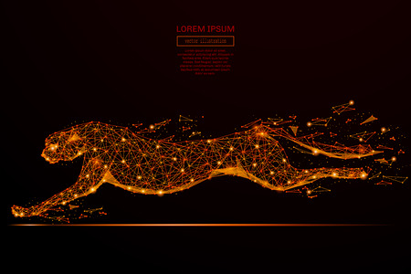 Abstract mash line and point cheetah in flames style on dark background with an inscription. Business net speed of a starry sky or space, consisting of stars and the universe. Vector illustrationのイラスト素材