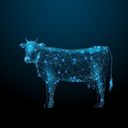 Abstract image of a cow in the form of a starry sky or space, consisting of points, lines, and shapes in the form of planets, stars and the universe. Animal vector wireframe conceptのイラスト素材