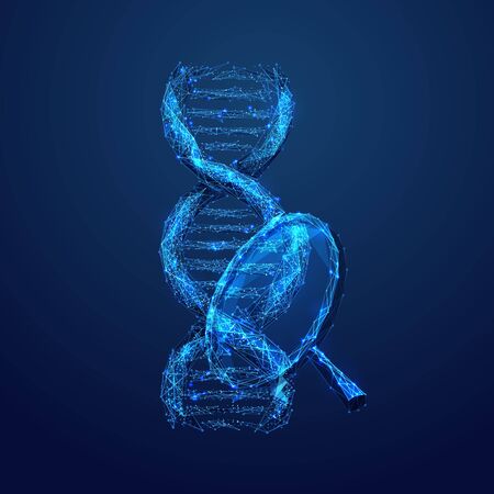Genetic laboratory research low poly wireframe illustration. 3D DNA double helix molecule and magnifying glass with connected dots. Polygonal chromosome analyzing mesh art. Microbiological analysisのイラスト素材