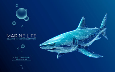 The great white shark, white pointer. Marine life. The concept of aggressive business. 3D vector wireframe illustration on dark blue background. Polygonal realistic dangerous fish underwater.の写真素材