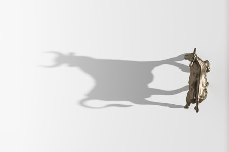 3d render wild cow sun shadow from high angleの写真素材