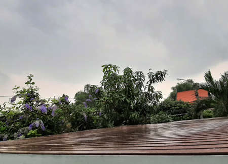 Outdoor view on raining day in the garden, grey and cloudy sky, wet dayの写真素材