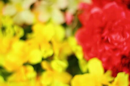 Colorful defocused backgroundの素材