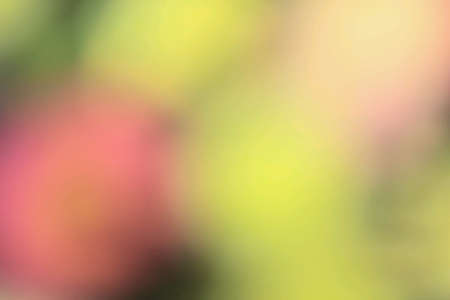 Vintage Colorful defocused backgroundの素材